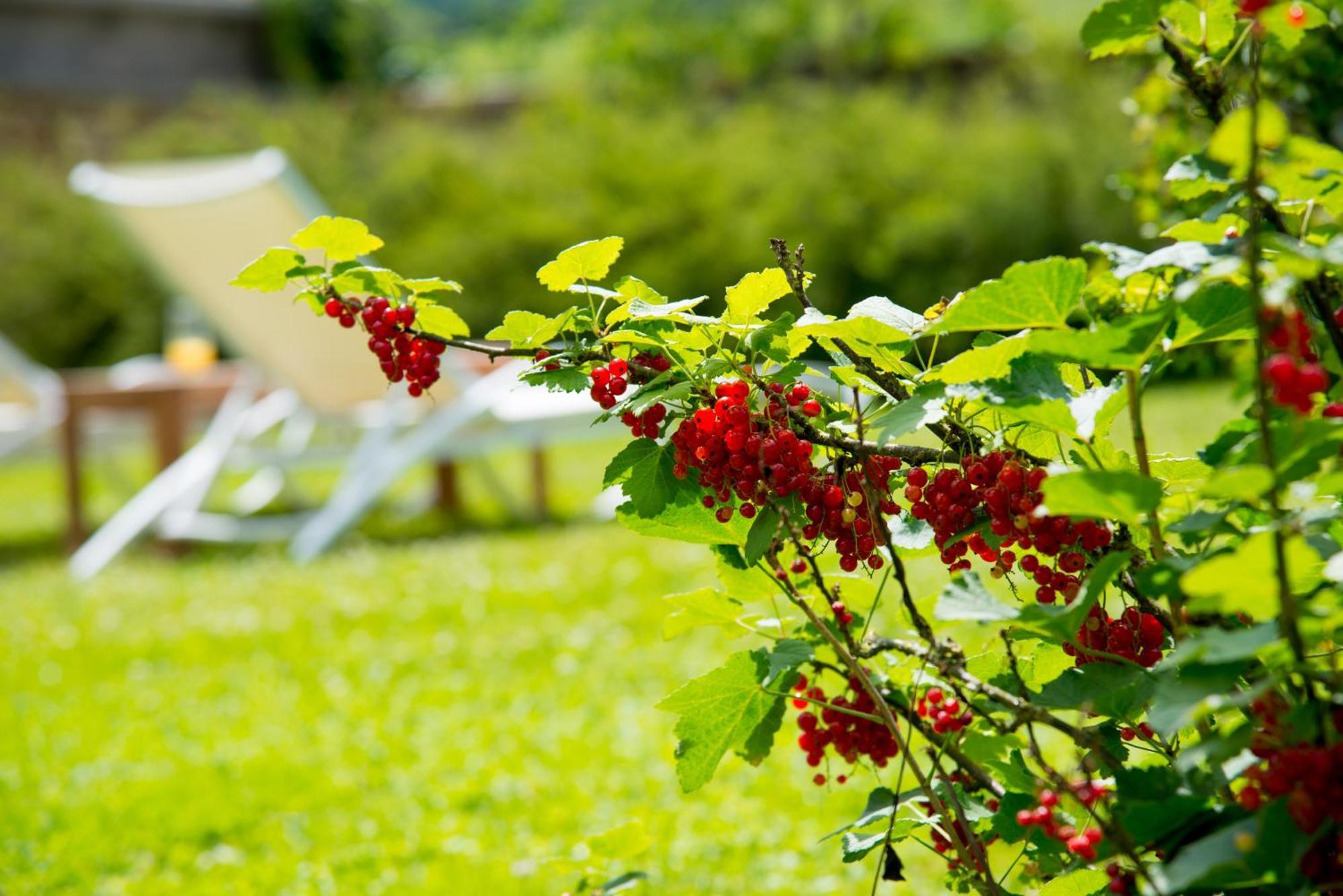Bed and Breakfast Le Logis D'Aze Exteriér fotografie